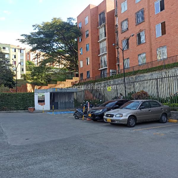 Portal de la Autónoma, Samanes de FONDECOM, El higuerón